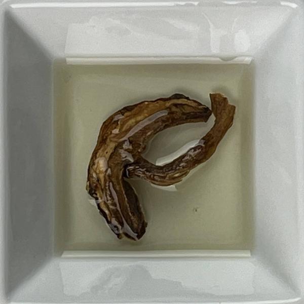 Steinpilz Öl
